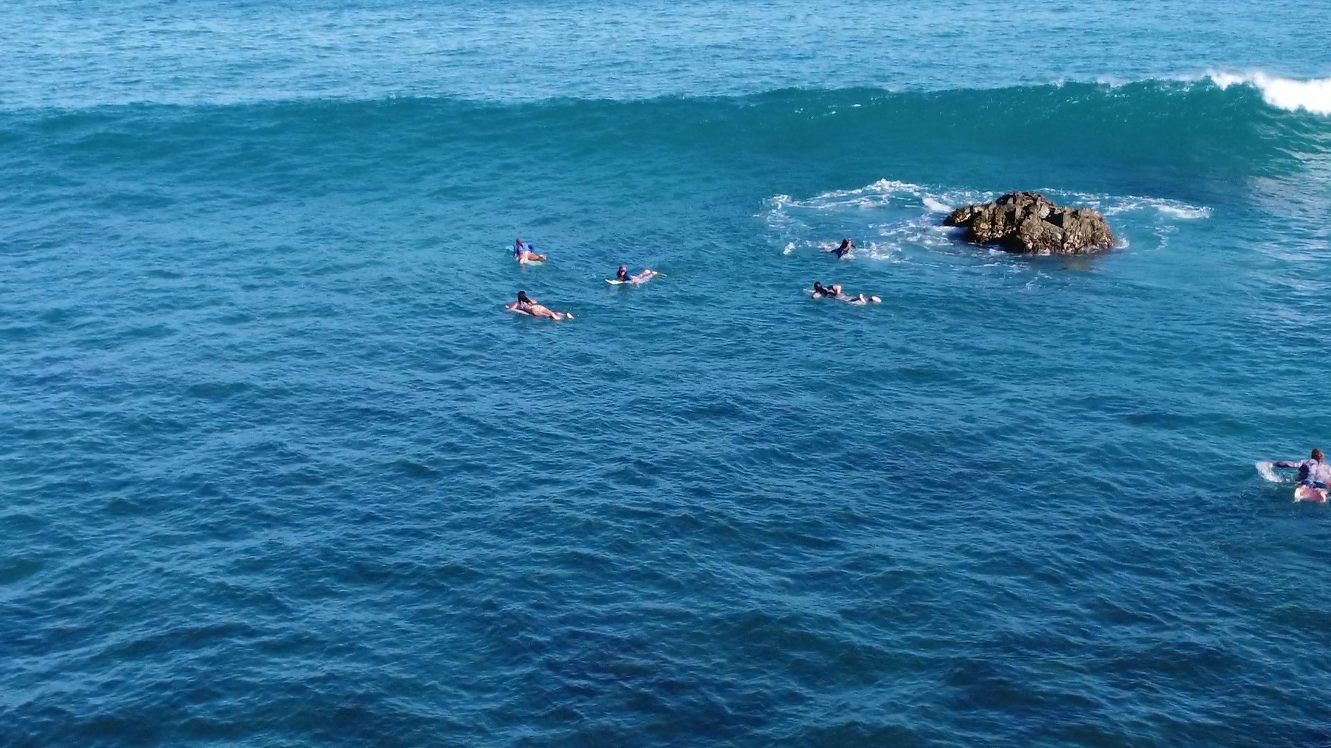 Surfboard Selection Guide: Findind the Perfect Wave Rider in Cabo San Lucas